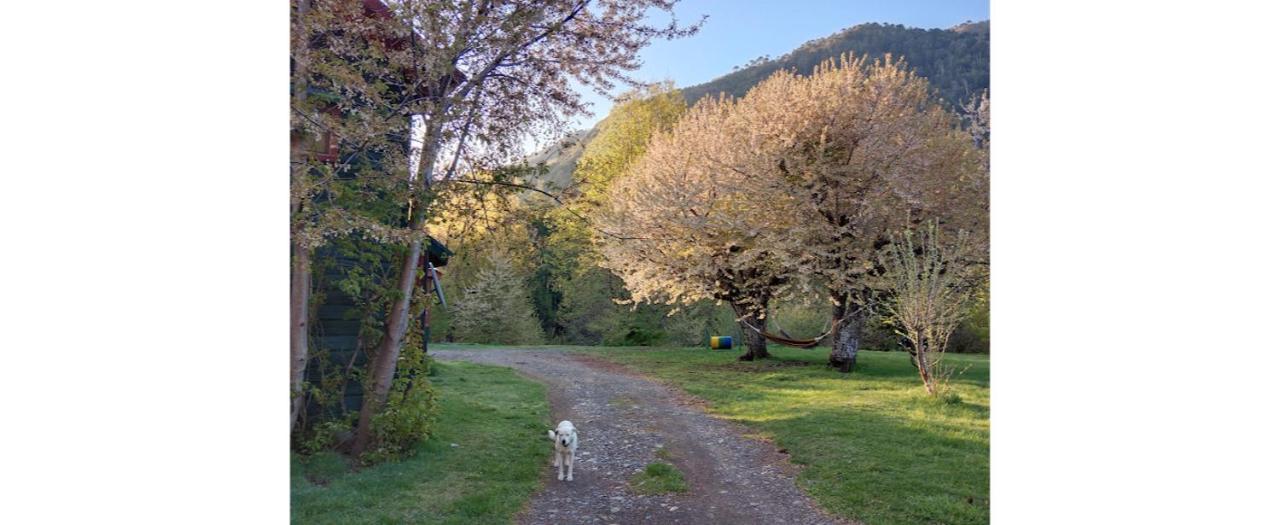 Casaverde Hostal Ecologico Malalcahuello Dış mekan fotoğraf